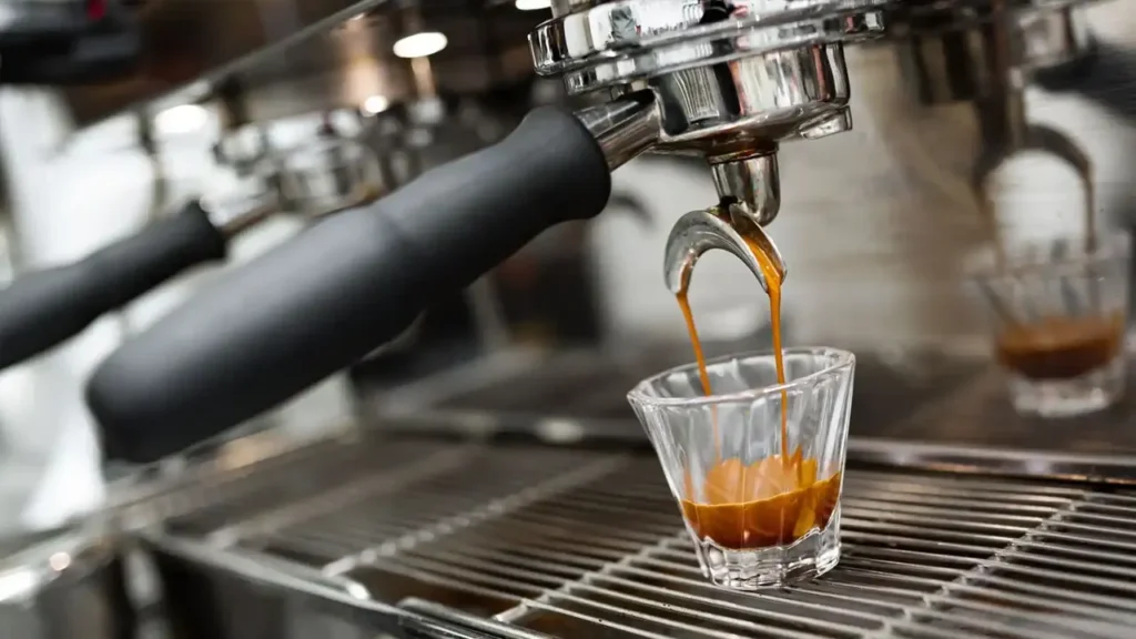 Best Coffee in Rosny